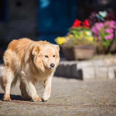Κατάλυμα σε φάρμα Gutshof Dragefeld *