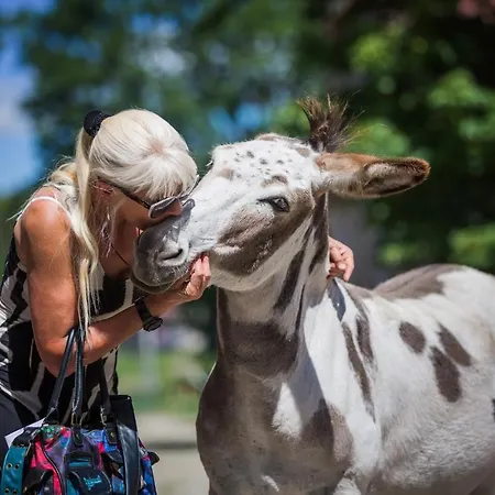 Gutshof Dragefeld Κατάλυμα σε φάρμα Krzyż