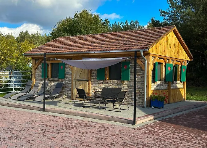 Gutshof Dragefeld Farm stay *