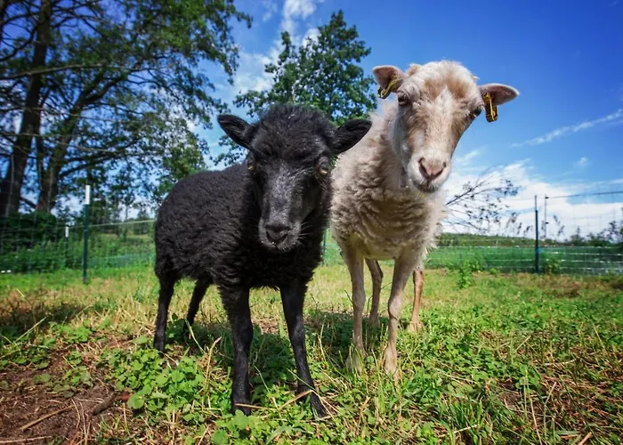 Gutshof Dragefeld Farm stay Krzyz Wielkopolski