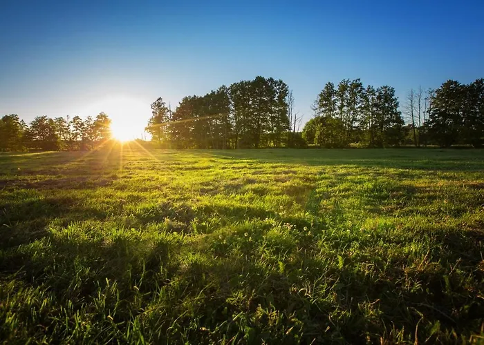 Farm stay Gutshof Dragefeld *