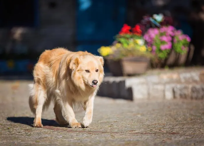 Farm stay Gutshof Dragefeld *