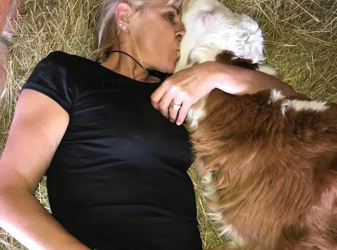 Farm stay Gutshof Dragefeld