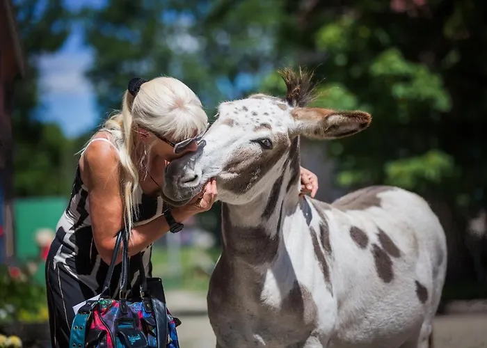 Gutshof Dragefeld Farm stay Krzyz Wielkopolski